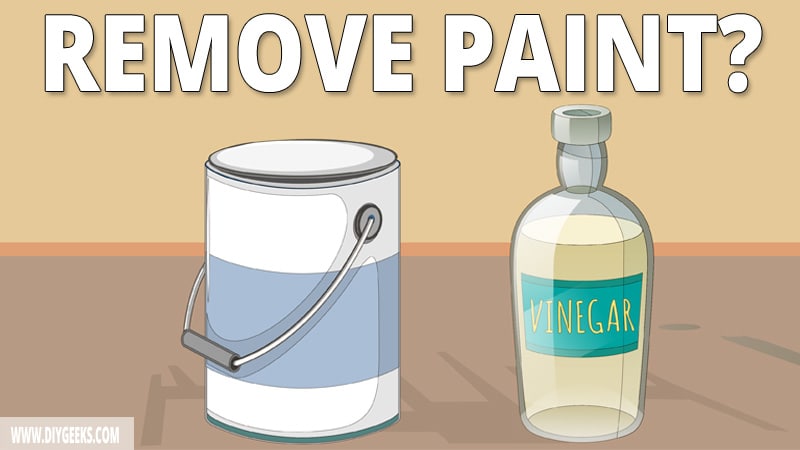 You can find vinegar in most of our homes. But, does vinegar remove paint? If yes, how to use vinegar to remove paint? We explained all you need to know in this post.