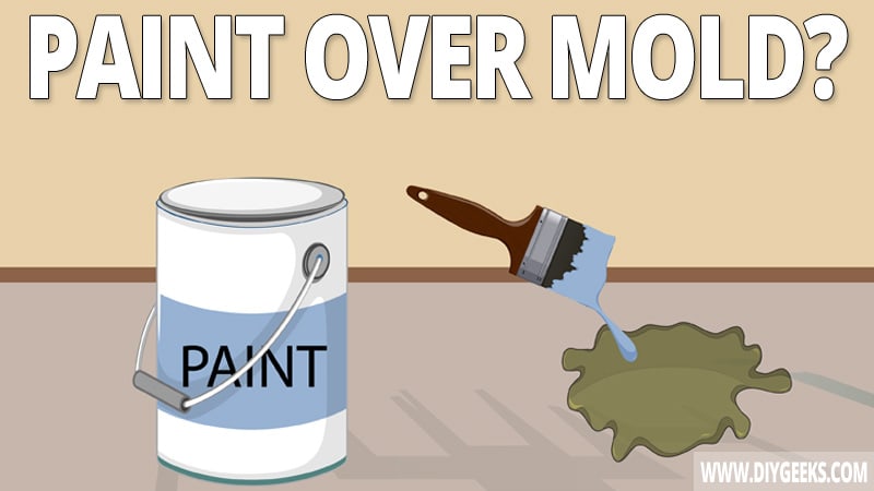 Paint fixes a lot of things. But, can you paint over mold? And, does paint prevent mold growth? We explained everything you need to know.