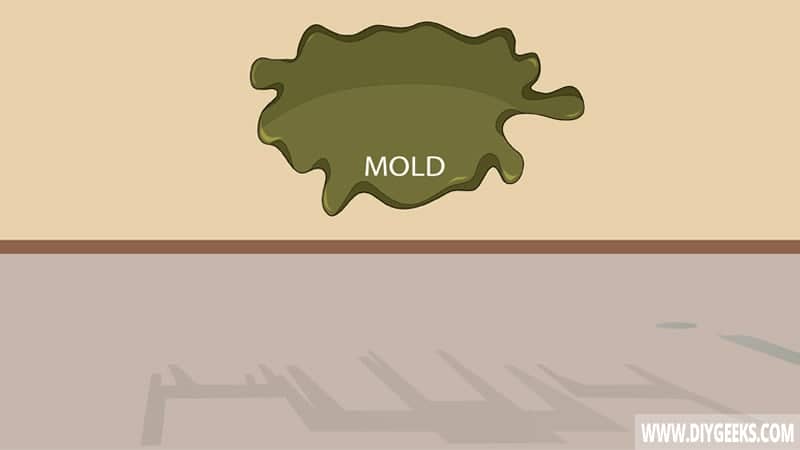 Fix The Mold Source