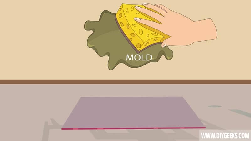 Remove The Mold