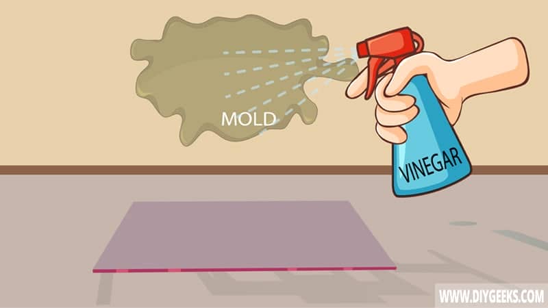 Spray and Clean The Affected Areas With Vinegar