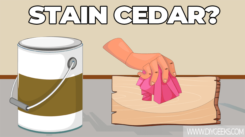 Can You Stain Cedar Wood? (& How To)