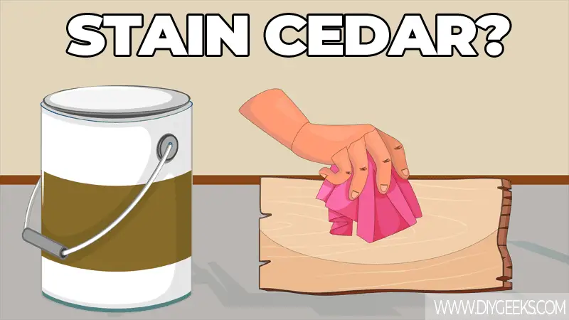 CAN YOU STAIN CEDAR